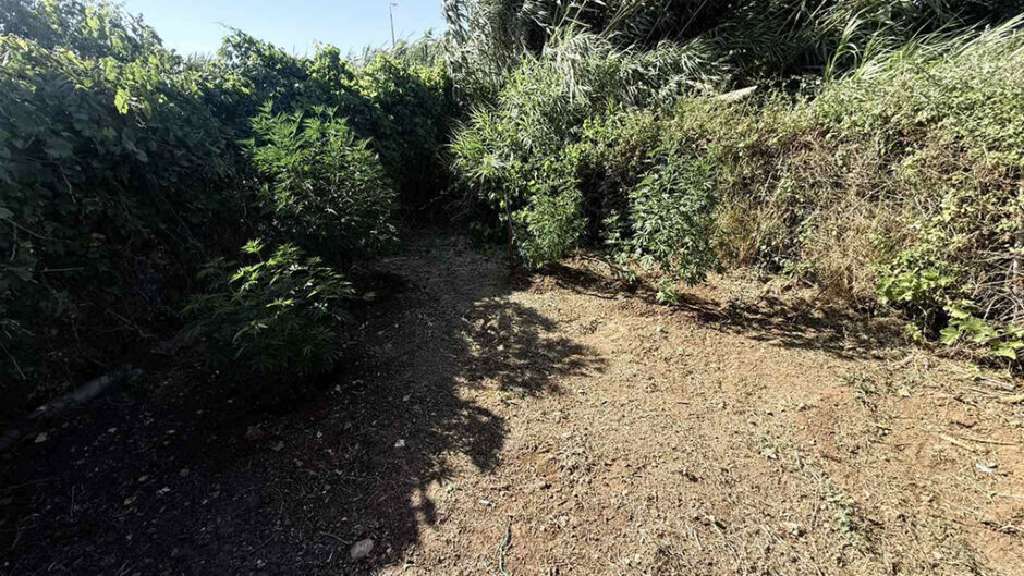 ΝΑΡΚΩΤΙΚΑ ΡΟΔΟΣ 22.0Ο7.26