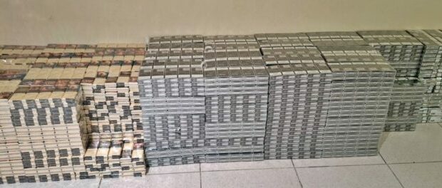 img-20260810-125311-768×264