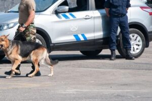 σκυλος ναρκωτικά