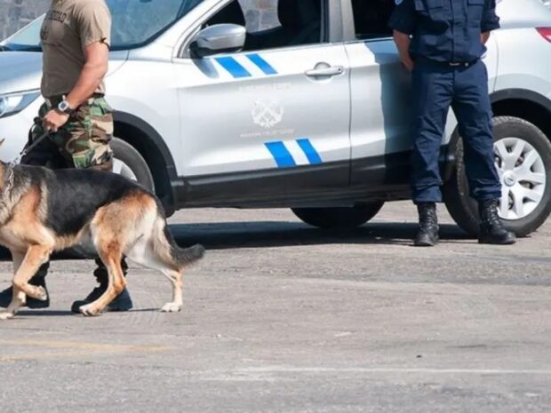 σκυλος ναρκωτικά