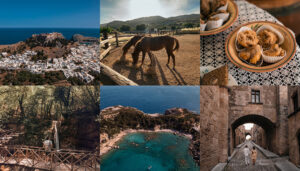 ΡΟΔΟΣ