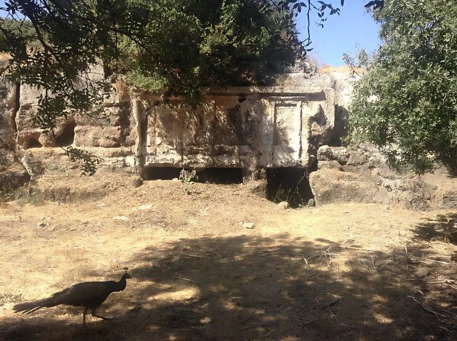Ανύψωση εδάφους ενός εκατοστού κατέγραψαν δορυφορικές μετρήσεις στο πάρκο του Ροδινιού