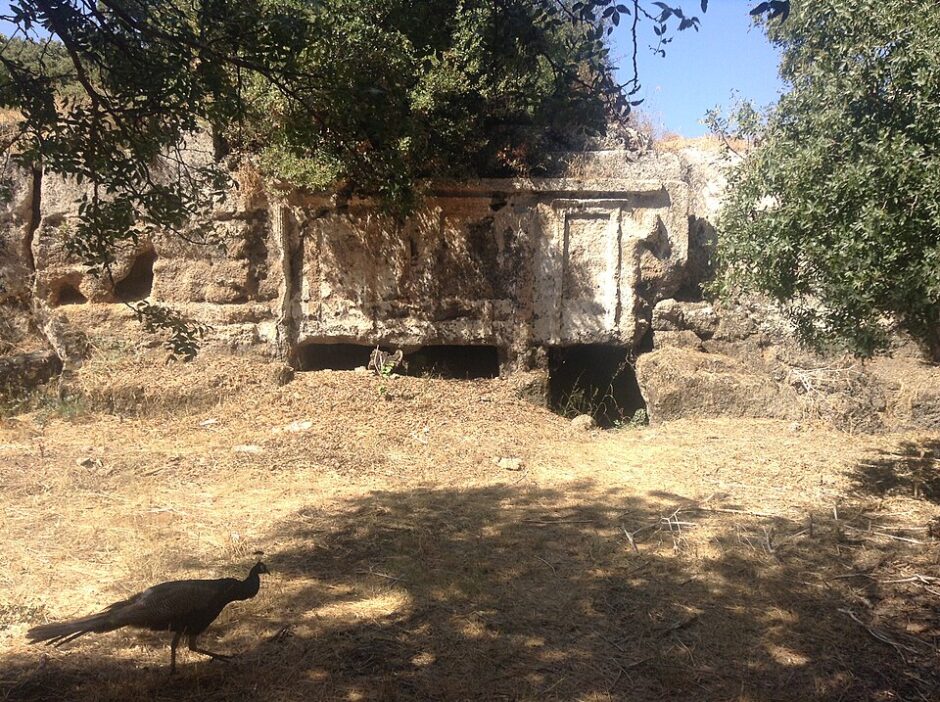 Ανύψωση εδάφους ενός εκατοστού κατέγραψαν δορυφορικές μετρήσεις στο πάρκο του Ροδινιού