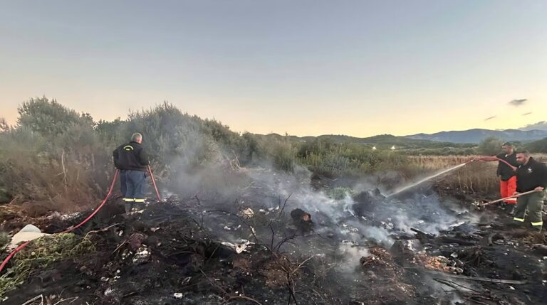 Υπό έλεγχο η φωτιά που άναψε στις Φάνες