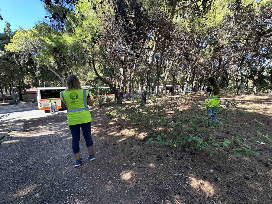 Ο Δήμος Ρόδου καταρτίζει το «Μητρώο Πρασίνου και Αστικού Εξοπλισμού» για την αποτελεσματική διαχείριση και αναβάθμιση του δημόσιου χώρου
