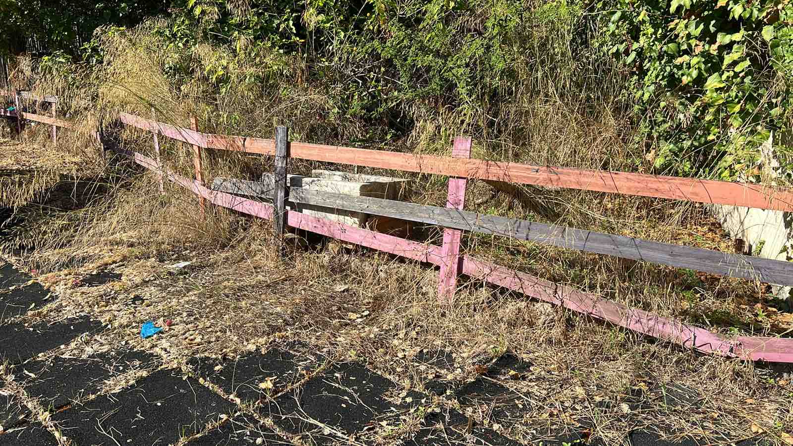 Ροδιακή Έπαυλη: Το καλοκαίρι πέρασε, οι υποσχέσεις Βαγιανού έμειναν “κενό γράμμα” — Εικόνες ντροπής και εγκατάλειψης πίσω από το… «formal garden»