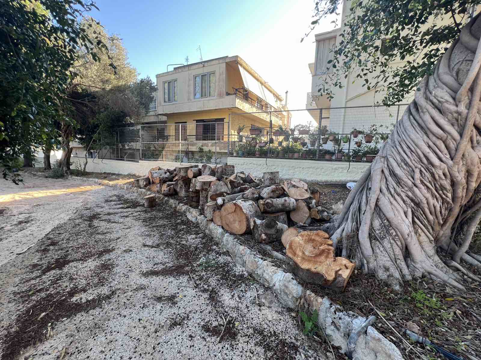 Ροδιακή Έπαυλη: Το καλοκαίρι πέρασε, οι υποσχέσεις Βαγιανού έμειναν “κενό γράμμα” — Εικόνες ντροπής και εγκατάλειψης πίσω από το… «formal garden»